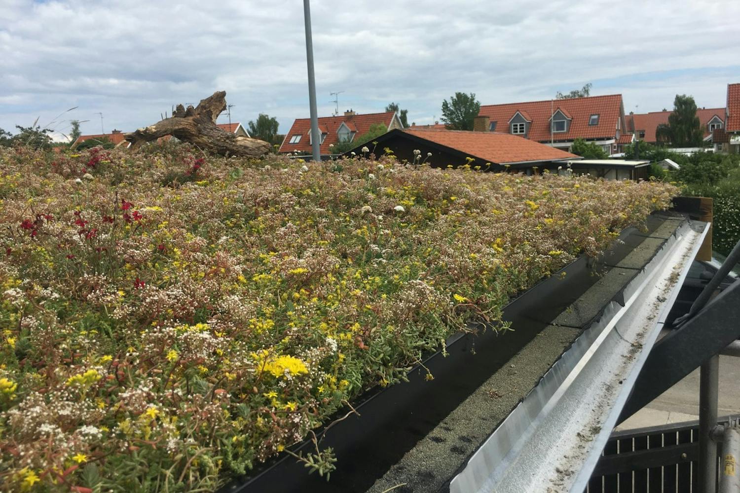 Näin teet autokatokseen viherkaton